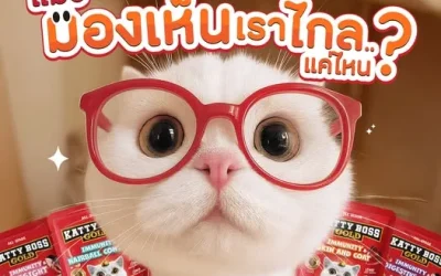 How Far Can Cats See? Understanding Your Cat’s Vision