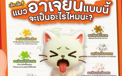 Is Frequent Vomiting in Cats Normal?