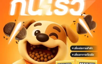 Why Dogs Eat Too Fast and How to Fix It