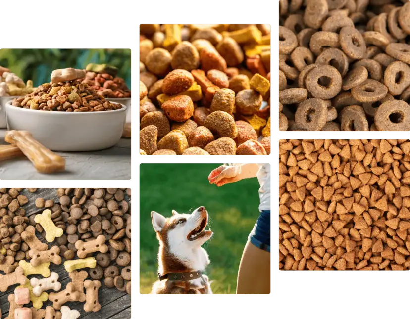 End-to-end OEM & Private Label solutions — from formulation